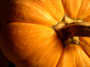 pumpkin-2-300x224.jpg