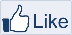 crowdsourcing on facebook, charity is fun, getting likes on facebook