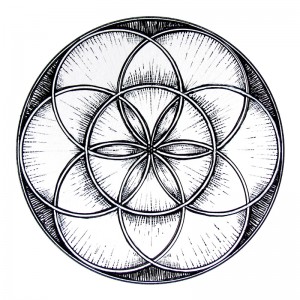 flower of life with seven rings