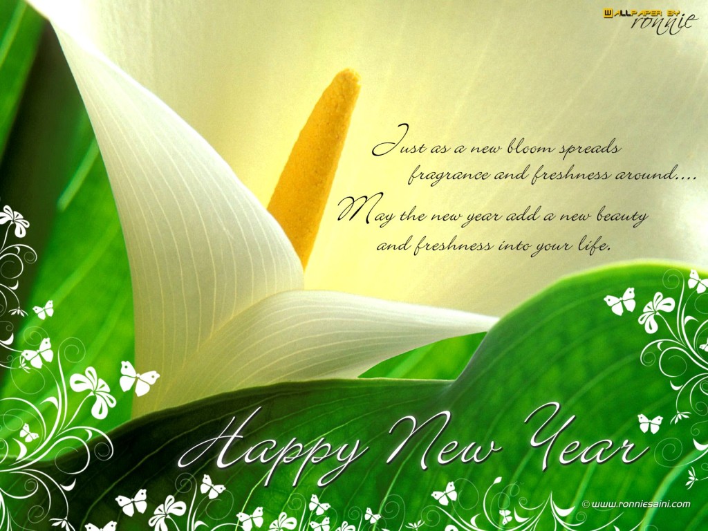 Happy-New-Year-Greeting-Cards-Images3